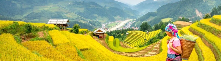 Mu Cang Chai terrace Overview